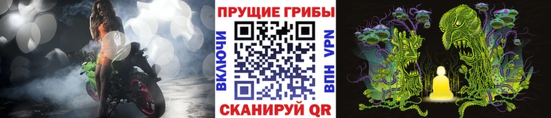 Купить  Лодейное Поле  Галлюциногенные грибы мицелий 